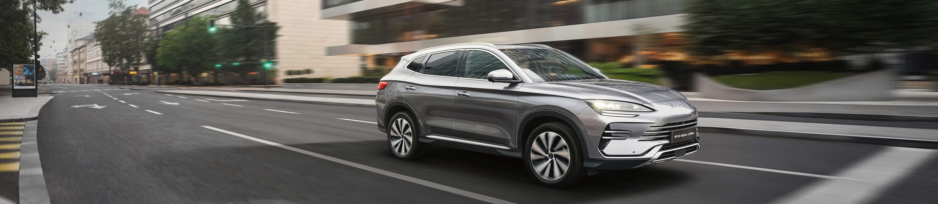 Qu'est-ce qu'un NEV ?